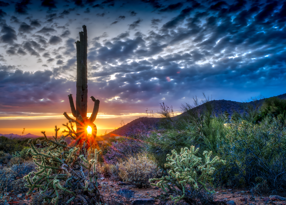 Exploring Scottsdale: What to See and Do
